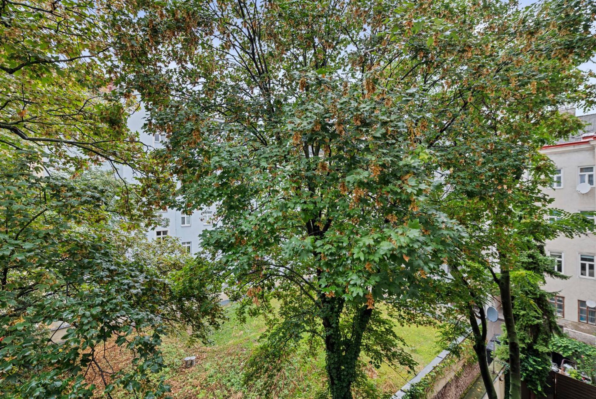 Cozy, Generous City Apartment - 10 Min To City-Centre - Contactless 24H Check-In Вена Экстерьер фото